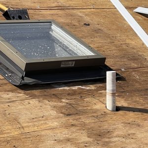 10B28495-E1D1-434B-86B6-F8DC9F61D341_1_105_c